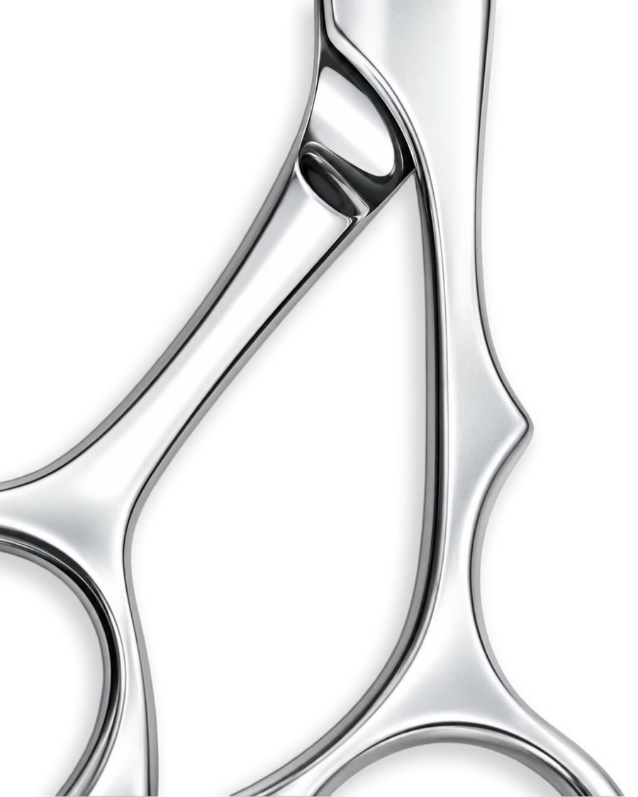 THE HANDLE