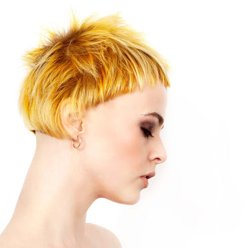 Embrace the Chic